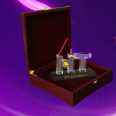 2015年1月：東莞海天五金廠慶十周年獎(jiǎng)勵(lì)員工純金幣定制