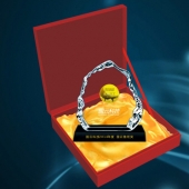 2015年1月：中科院/國(guó)云科技股份公司年會(huì)純金紀(jì)念章定制