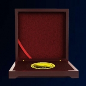 2015年9月定制　深圳市國康醫(yī)院十年員工純金金牌定制