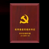 2015年10月生產(chǎn)制作　安康市委表彰杰出貢獻(xiàn)獎獎?wù)聞渍伦C章生產(chǎn)制作