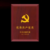 2016年6月定制　安康市委優秀共產黨員獎章定制獎章制作