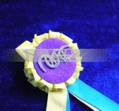 掛帶獎(jiǎng)?wù)?掛帶勛章,掛帶徽章,掛帶獎(jiǎng)牌,掛帶胸章