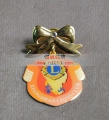 佩戴獎?wù)?佩戴徽章,佩戴勛章,佩戴徽標(biāo)